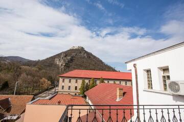 Фото номера Апартаменты с 1 спальней Гостевой дом Pensiunea Vila Europa г. Дева 5