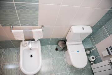 Фото номера Двухместный номер Делюкс с 2 отдельными кроватями Гостевой дом Pensiunea President г. Дева 35