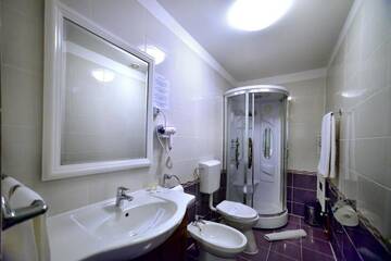 Фото номера Двухместный номер с 1 кроватью Гостевой дом Casa Negustorului г. Дева 45